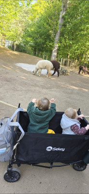 Turnen bei der TGT